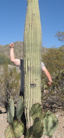 cactusarms1.jpg